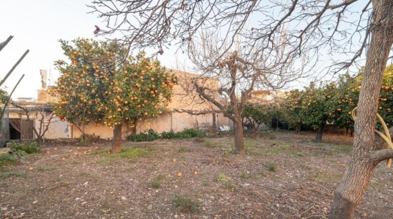 Almería - Alcolea - 250m2