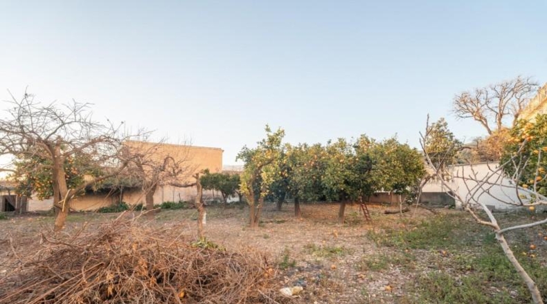 Almería - Alcolea - 250m2