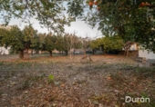 Casa de campo con terreno en venta en la España, Alcolea, ref: TR385136 foto