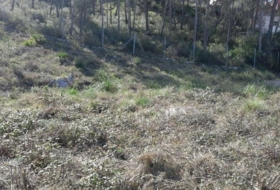 Olivella 1004&nbsp;m²