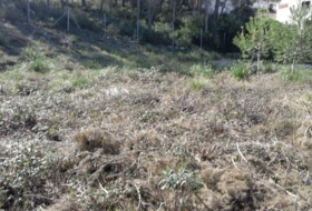 Olivella 1004&nbsp;m²