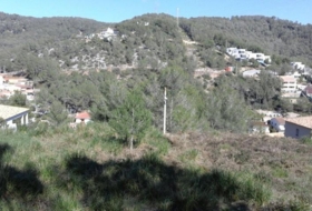 Olivella 1004&nbsp;m²