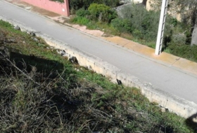 Olivella 1004&nbsp;m²