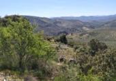 Terreno no urbanizable en venta en la España, Iznájar, ref: TR241971 foto