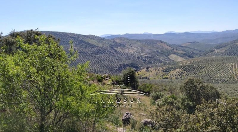 Córdoba - Iznájar - 200000m2