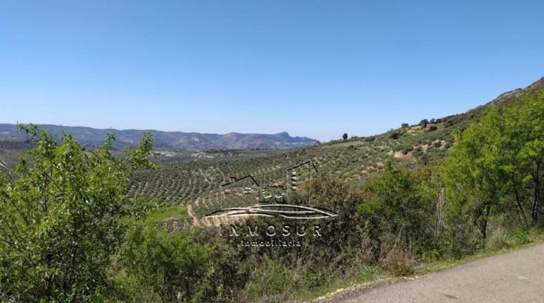 Córdoba - Iznájar - 200000m2