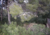 Urban land for sale on España, Cunit, ref: TR375421 photo