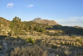 Sella 15500&nbsp;m²