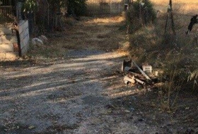 Foto 15