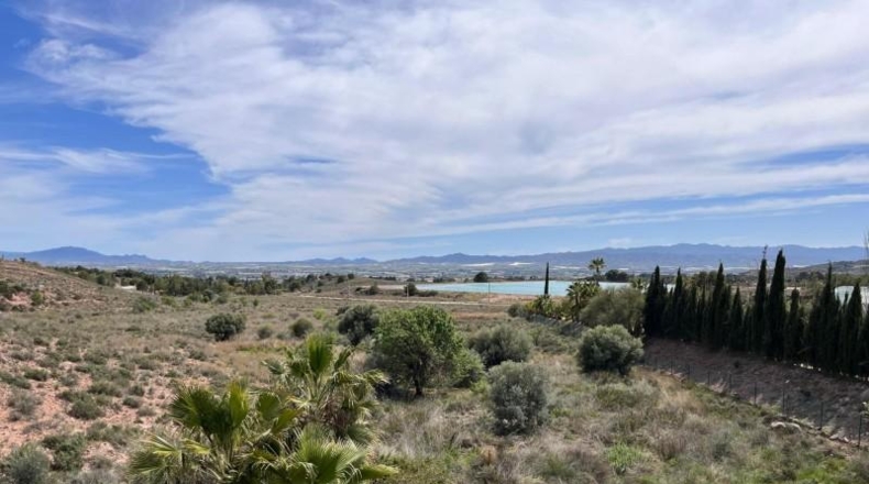 Murcia - Totana - 20632m2