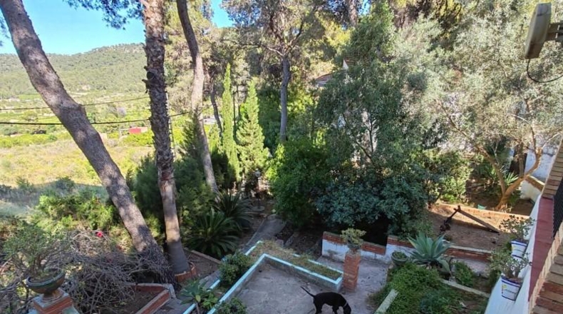 Valencia - Llaurí - 466m2
