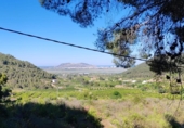 Chalet independiente con terreno en venta en la España, Llaurí, ref: TR411231 foto