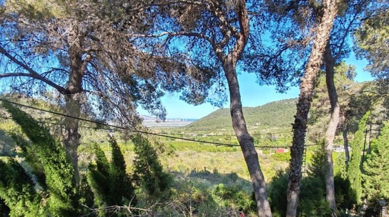 Valencia - Llaurí - 466m2