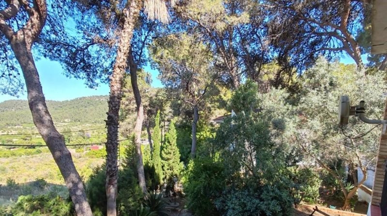 Valencia - Llaurí - 466m2
