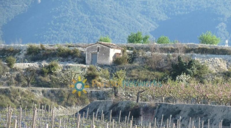 Valencia - Bèlgida - 90000m2