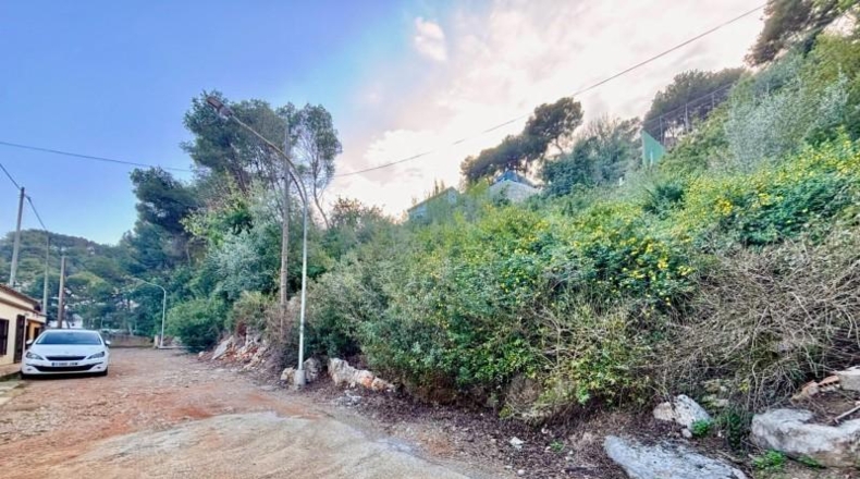 Valencia - Alcira - 1208m2