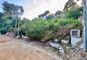 Suelo urbano en venta en la España, Alzira, ref: TR390082 foto