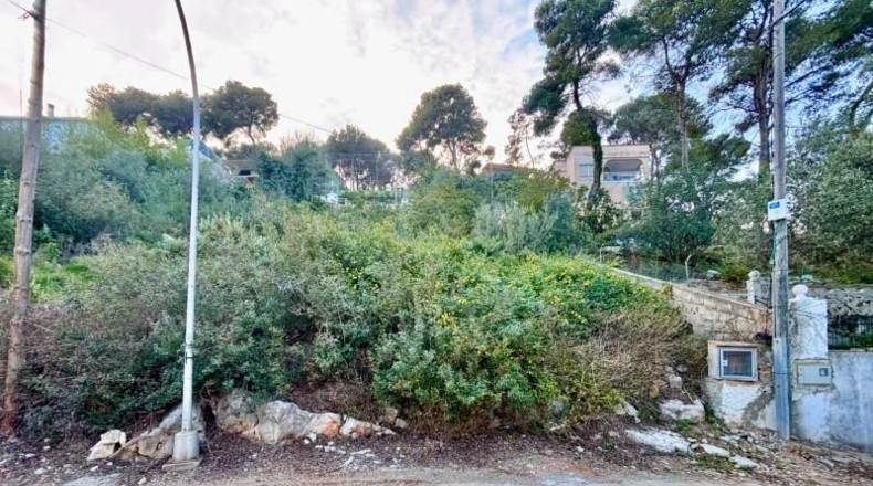 Valencia - Alcira - 1208m2