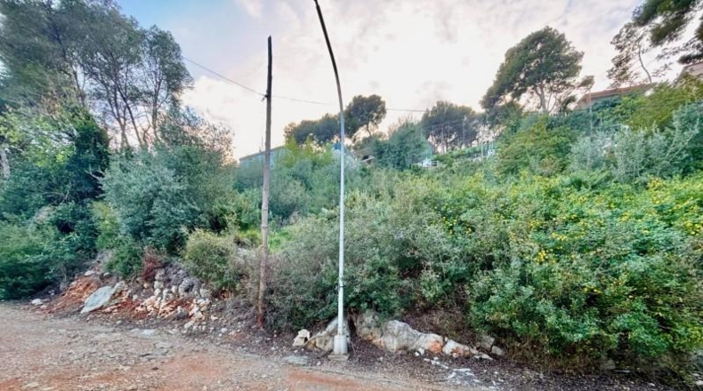 Valencia - Alcira - 1208m2