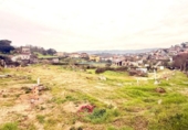 House with land for sale on España, Ourense, ref: TR400407 photo