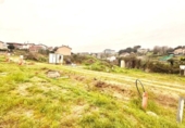 House with land for sale on España, Ourense, ref: TR400407 photo