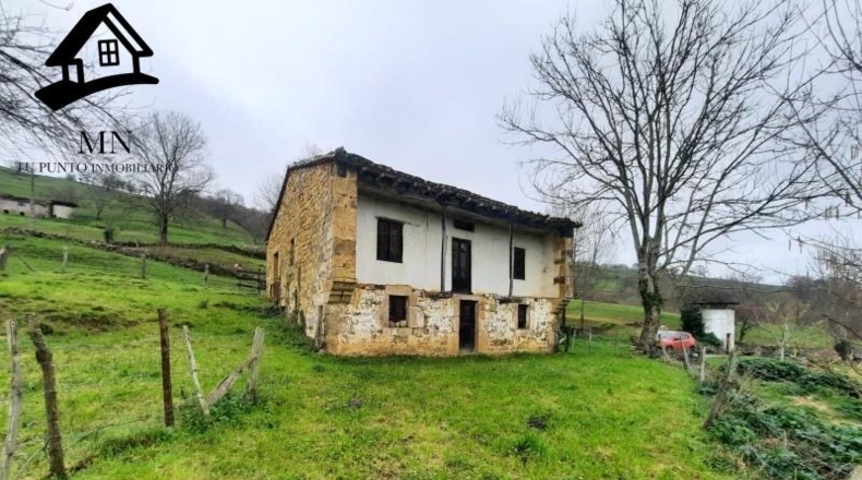 Cantabria - Villacarriedo - 10820m2