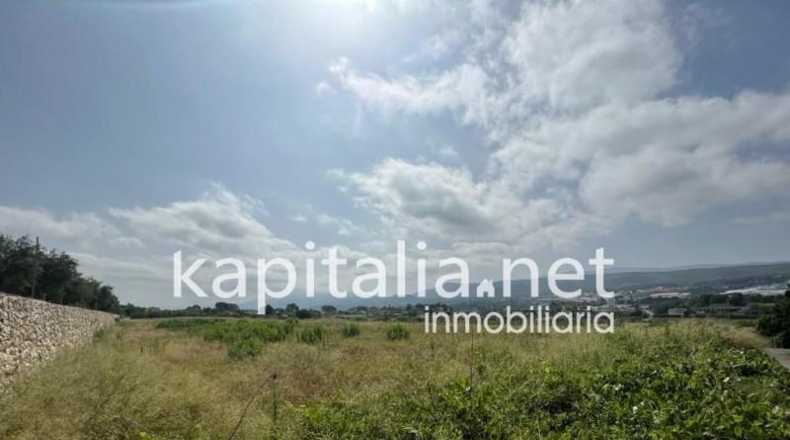 Valencia - Agullent - 14000m2