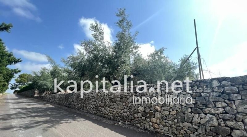 Valencia - Agullent - 14000m2