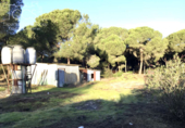 Chalet independiente con terreno en venta en la España, Almonte, ref: TR364708 foto