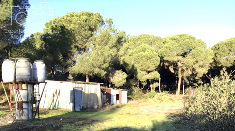 Almería - Alhabia - 2400m2