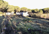 Chalet independiente con terreno en venta en la España, Almonte, ref: TR364708 foto