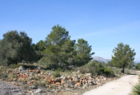 Foto 9