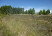 Parcela urbanizable en venta en la España, Almansa, ref: TR306450 foto