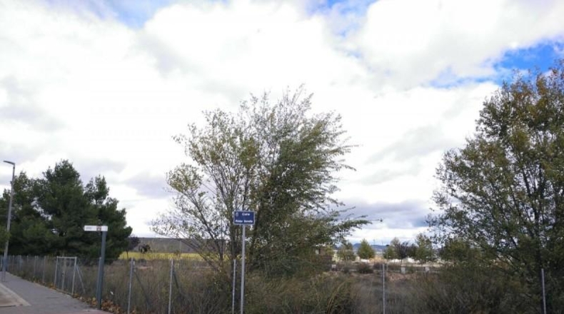 León - Almanza - 443m2