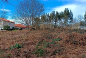 Sangenjo 1277&nbsp;m²