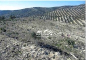 Земля на продажу у города Aguilar de la Frontera Фото