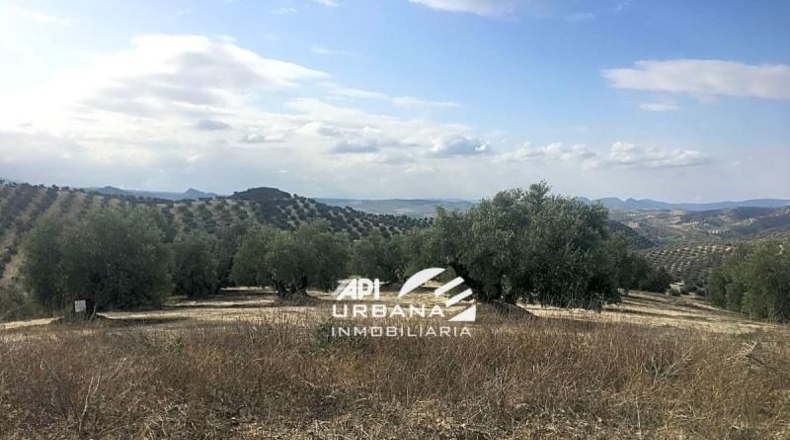 Córdoba - Aguilar de la Frontera - 125213m2