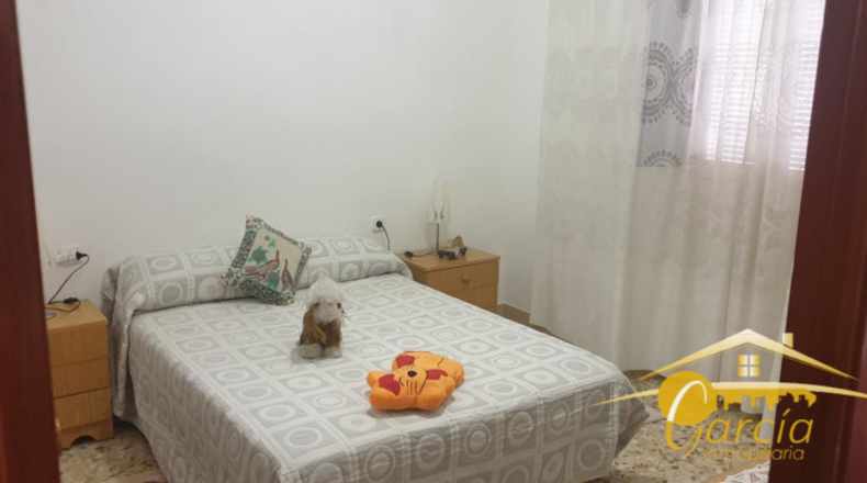 Badajoz - Almendralejo - 260m2