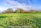 Finca rústica en venda a la España, Corgo, ref.: TR291172 foto