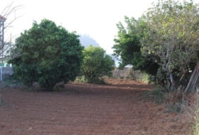 Tacoronte 5220&nbsp;m²