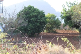 Tacoronte 5220&nbsp;m²