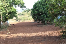 Tacoronte 5220&nbsp;m²