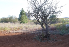 Tacoronte 5220&nbsp;m²