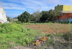 Tacoronte 5220&nbsp;m²