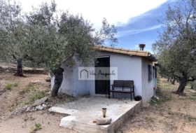 el Perelló 58353&nbsp;м²