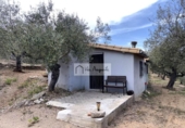 Casa de campo con terreno en venta en la España, el Perelló, ref: TR405155 foto