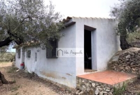 el Perelló 58353&nbsp;м²