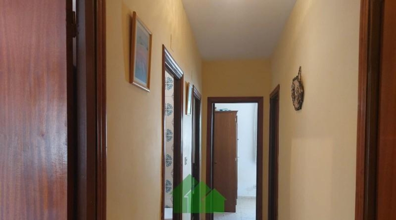 Badajoz - Guadiana - 236m2