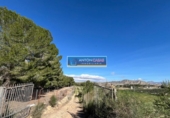 Casa con terreno en venta en la España, Aspe, ref: TR400033 foto