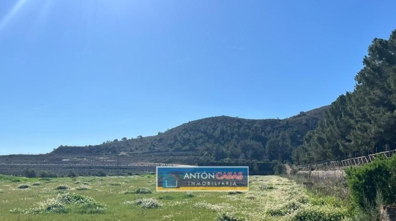 Alicante - Aspe - 21469m2